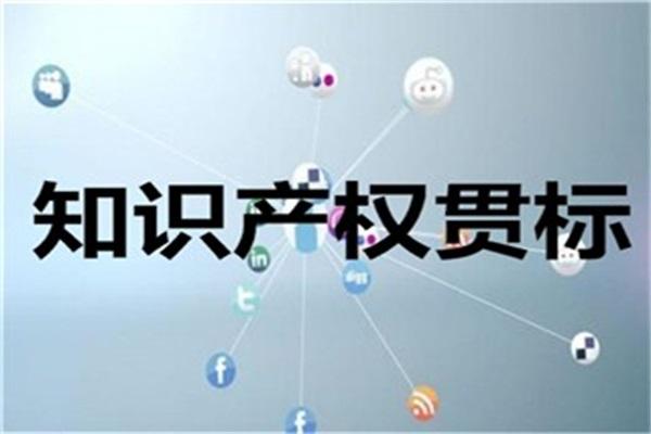 阜陽市知識產權貫標
