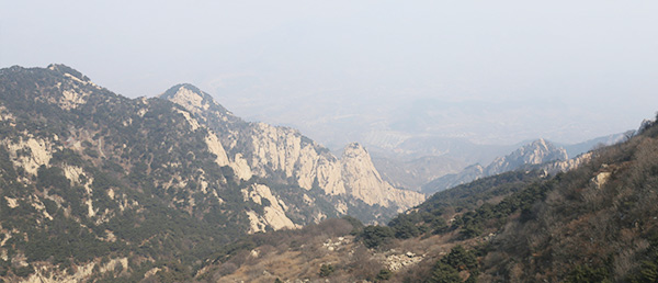 專業(yè)實(shí)力 專業(yè)實(shí)力